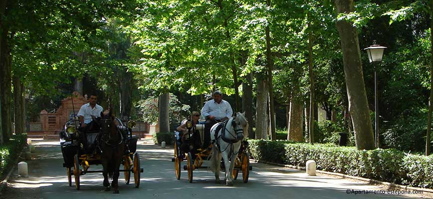 Calèches Séville Parc de Maria Luisa